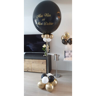Sempertex Gender Reveal Ballon Deluxe