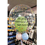 Bedrukte Ballon - Eigen ontwerp
