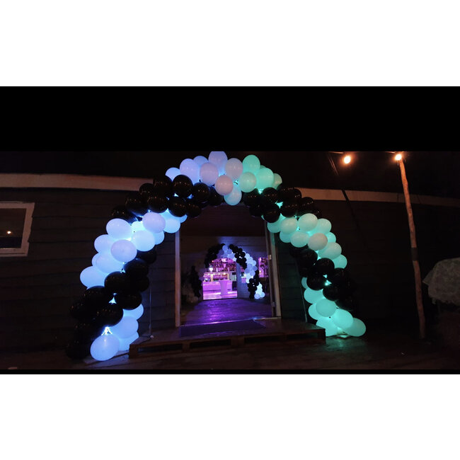 Ballonnenboog in 2 kleuren