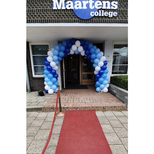 Ballonnenboog in 4 kleuren