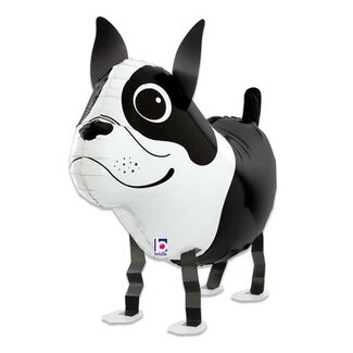 Haza-Witbaard Folieballon friends Boston terrier