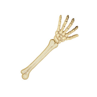 Boland Halloween Skeletarm 46cm