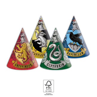 Hoedjes Harry Potter - 6 stuks