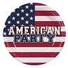 USA Party Bordjes - 10 st - 23cm
