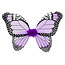 Vlinder Vleugels met Vlinderstaf
