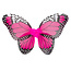 Vlinder Vleugels met Vlinderstaf