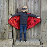 thumb-Omkeerbare Spider Bat Cape en masker-6