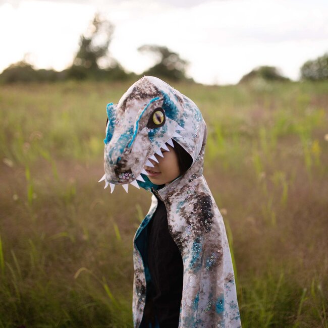 Raptor Cape