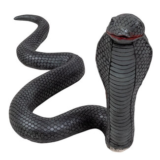 Boland Latex Cobra - 31 x 65 cm