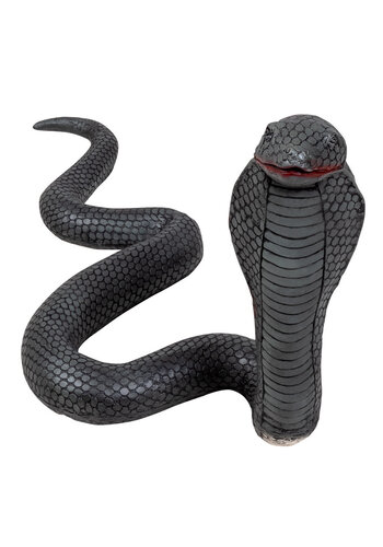 Latex Cobra - 31 x 65 cm 