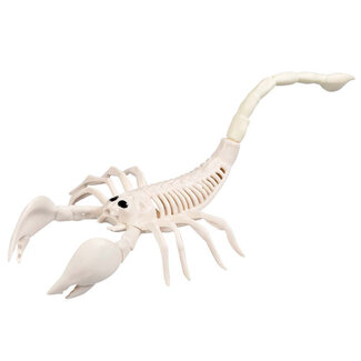 Boland Decoratie Schorpioenen Skelet  - 31 cm
