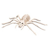 Boland Decoratie Spinnen Skelet