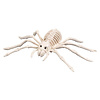 Decoratie Spinnen Skelet