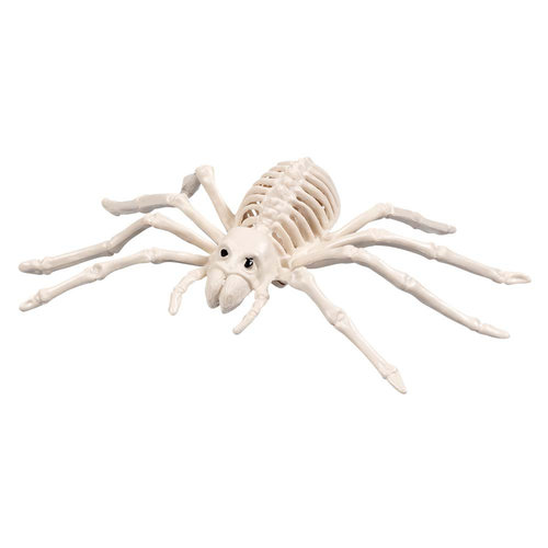 Decoratie Spinnen Skelet - 23x14cm 