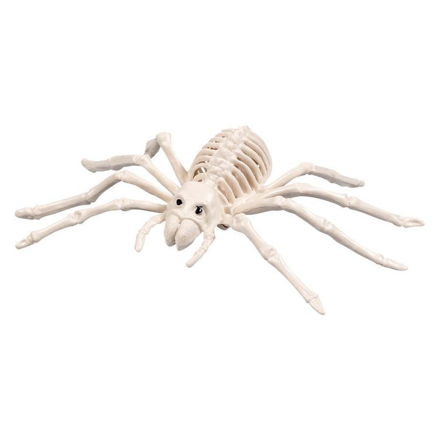 Decoratie Spinnen Skelet-1