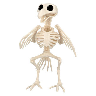 Boland Decoratie Vogel Skelet - 20 cm