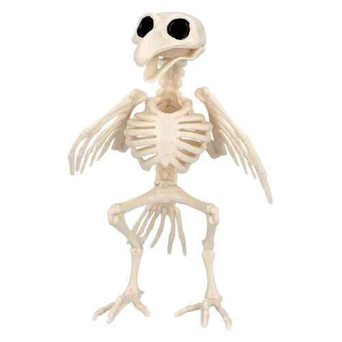 Decoratie Vogel Skelet - 20 cm 