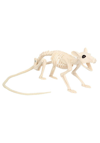 Decoratie Ratten Skelet - 46 cm 