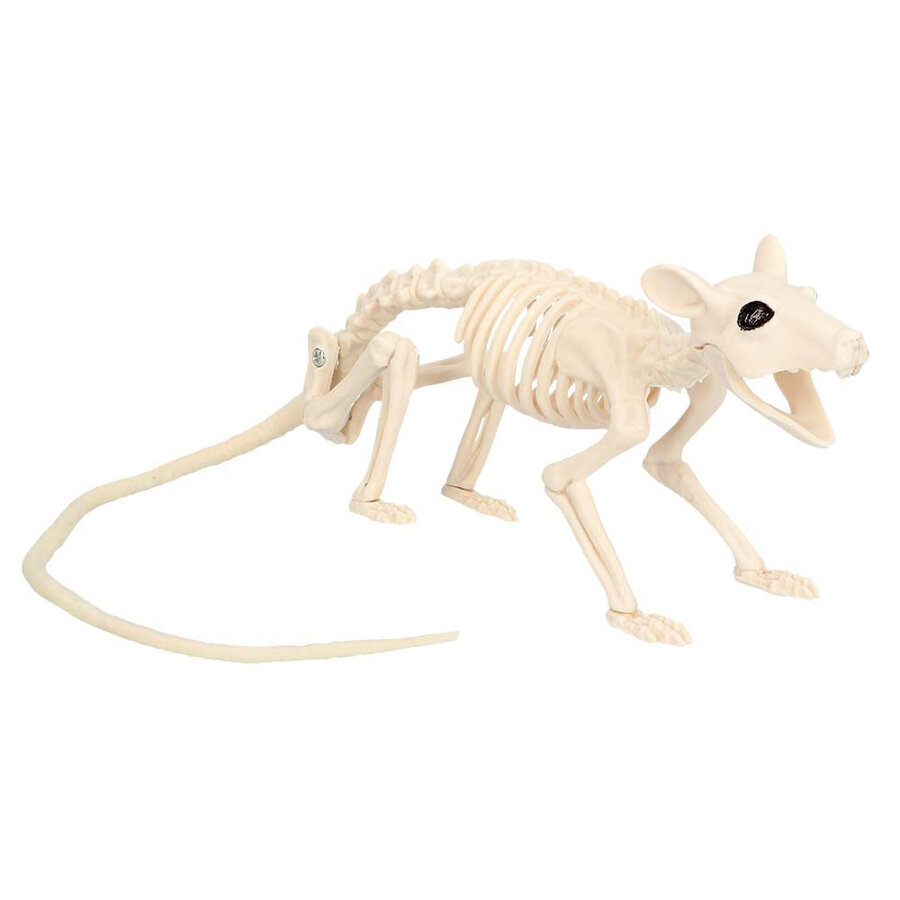Decoratie Ratten Skelet-1