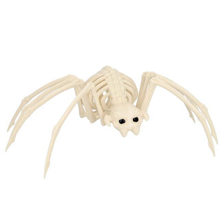 Boland Decoratie Spinnen Skelet - 35cm