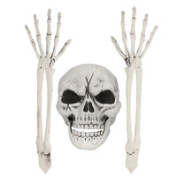 thumb-Begraven skelet (schedel en armen)-2
