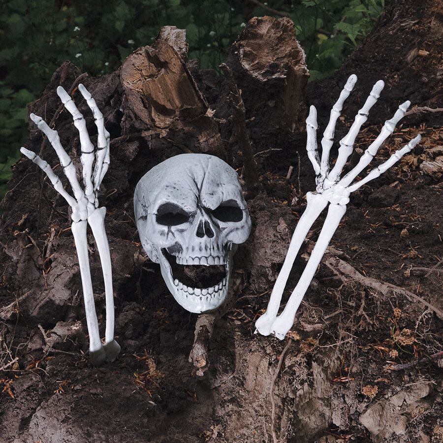 Begraven skelet (schedel en armen)-1