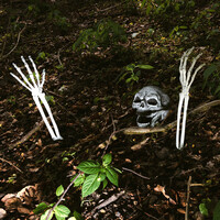 thumb-Begraven skelet (schedel en armen)-3