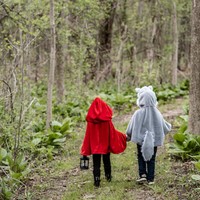 thumb-Woodland Storybook Wolf Cape-4