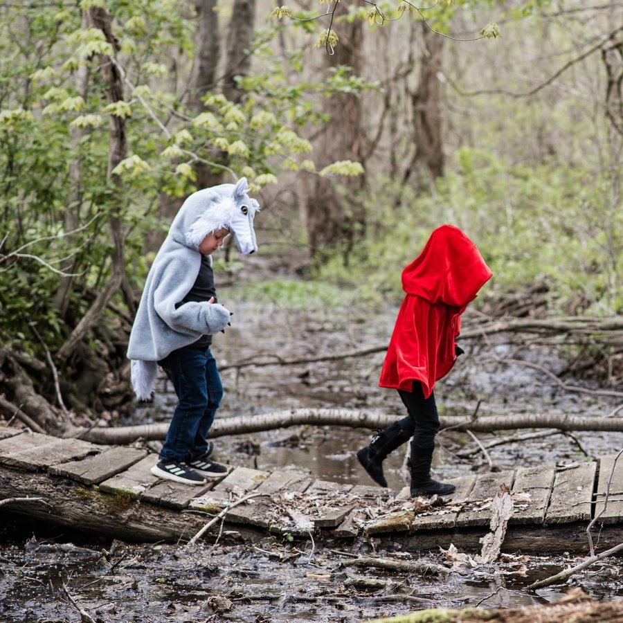 Woodland Storybook Wolf Cape-5