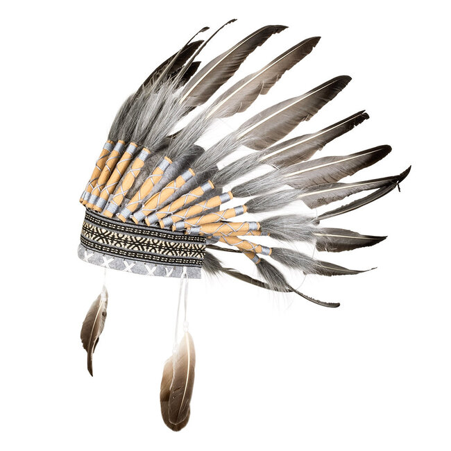 Tooi Wijze Opperhoofd