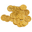 24 Gouden Piraten Munten