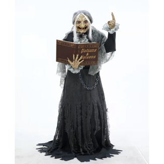 Espa Librarian with light