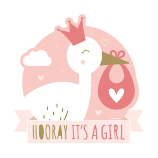 Paperdreams Newborn Baby Girl - Decoration Sign