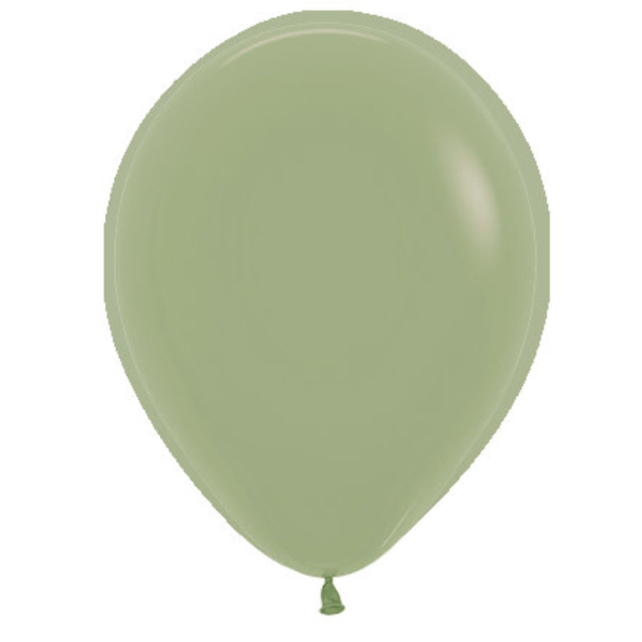 Helium Ballon Eucalyptus Groen (28cm)-1