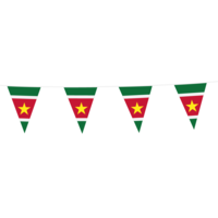 Vlaggenlijn Surinaamse Vlag
