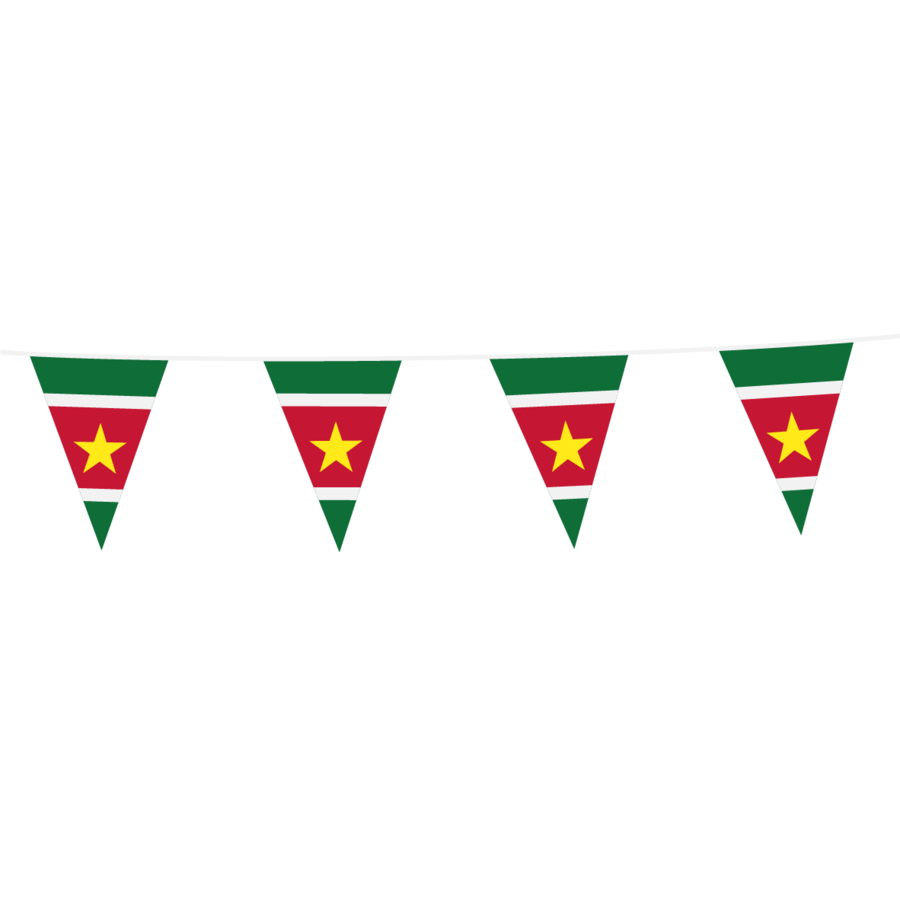 Vlaggenlijn Surinaamse Vlag-1