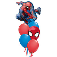 Spiderman Balloon Set