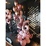 Deluxe Cijfer Decoratie