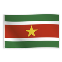 Gevelvlag Surinaamse Vlag