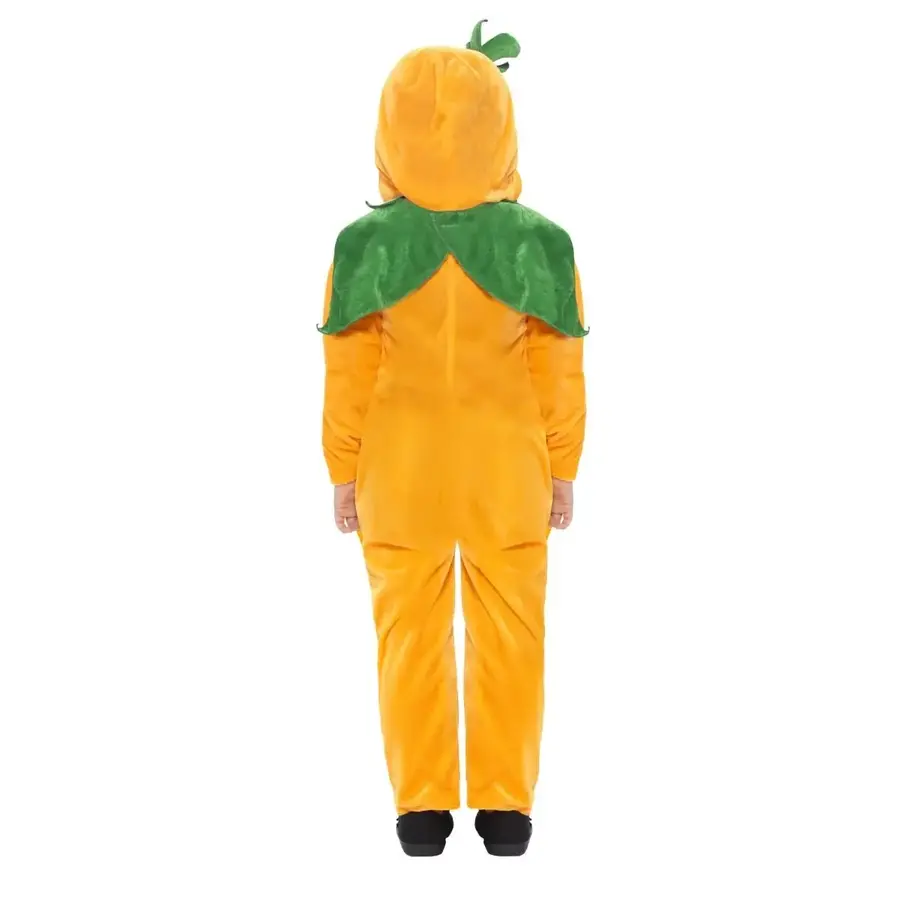 Pumpkin Toddler-3