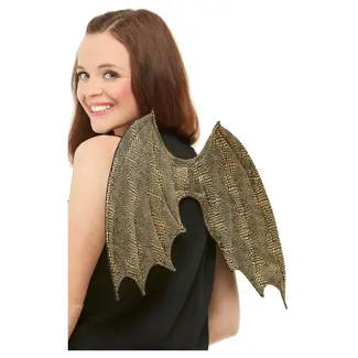 Smiffy's Draken Vleugels - Goud - 50cm