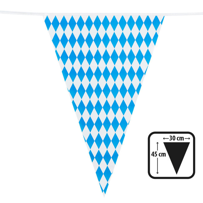 Reuzen Vlaggenlijn Beieren Dubbelzijdig - 45 x 30 cm - 8 mtr