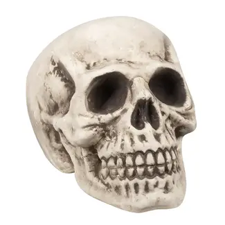 Boland Schedel Bighead - 23x22x31cm