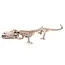 Boland Decoratie Krokodillen Skelet - 50x16cm
