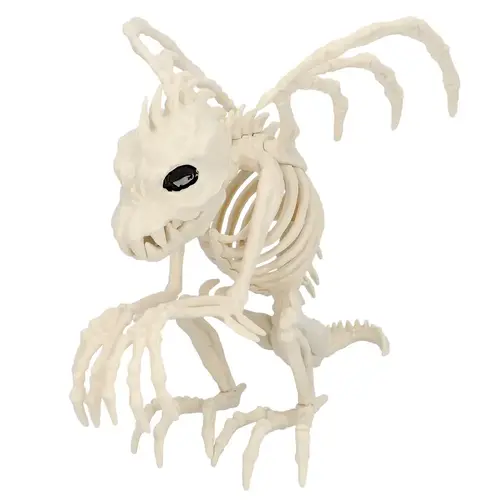Skelet Gargoyle - 24 x 24.5cm 