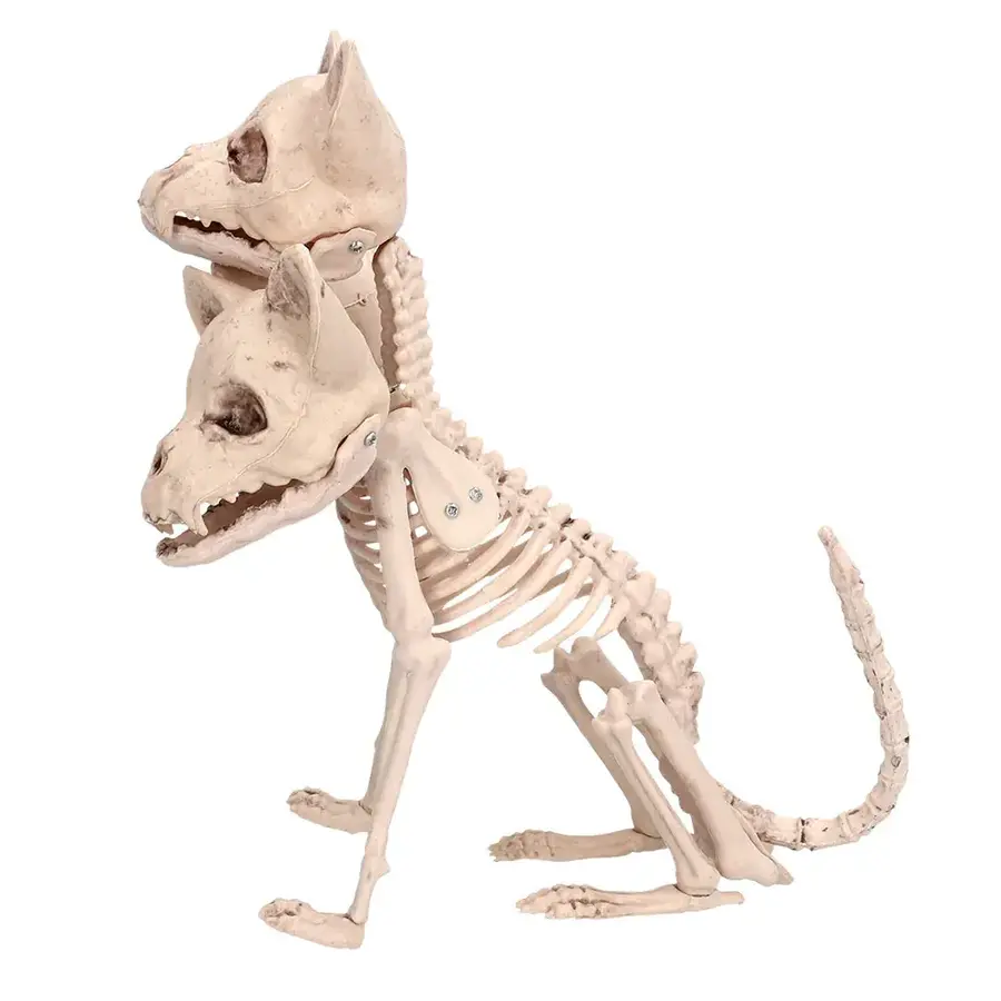 Skelet Cerberus-2
