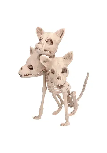 Skelet Cerberus - 33 x 17 cm 