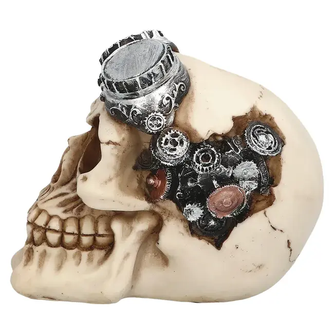 Schedel Steampunk - 9 x 14 x 11 cm