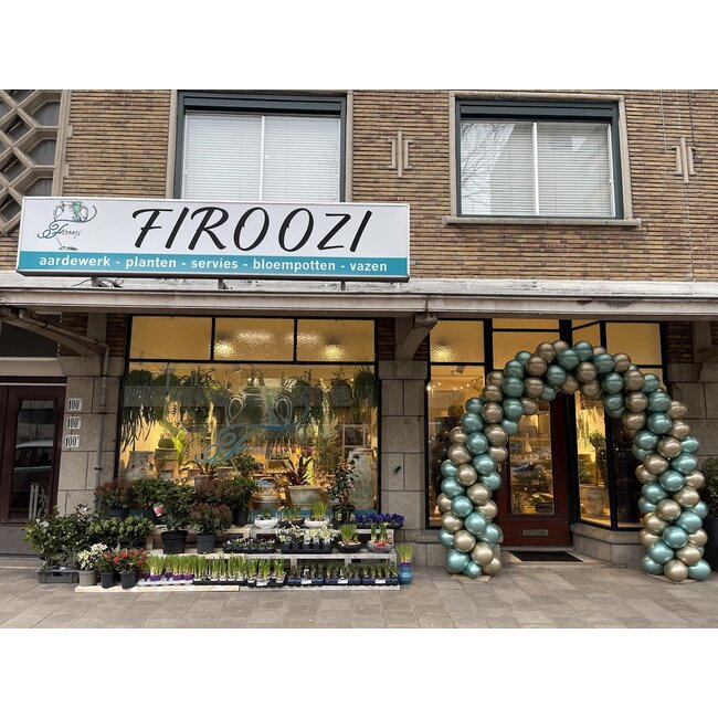 Ballonnenboog in 2 kleuren