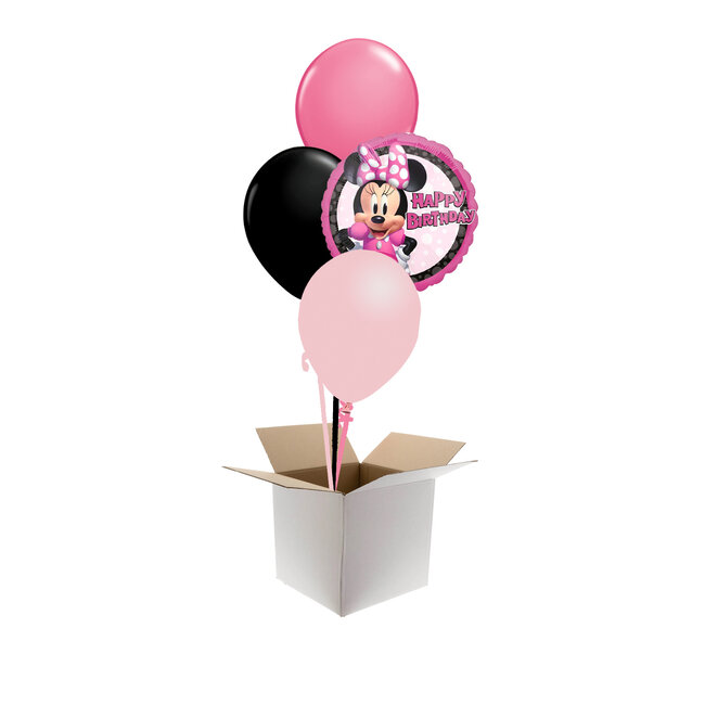 Minnie Mouse HBD Set